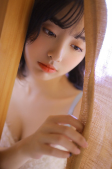 叛谍追击